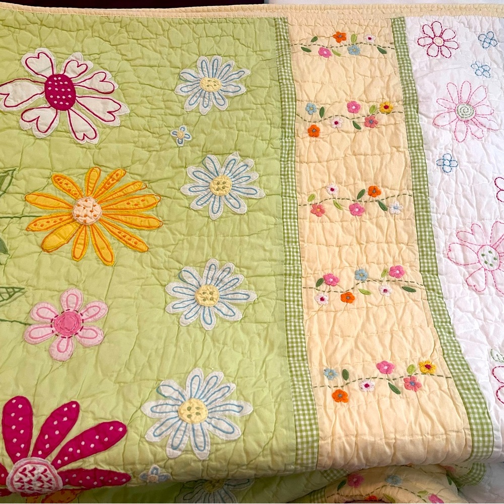 Pottery Barn Kids Twin Floral Quilt with sham